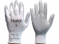 Hand Protection